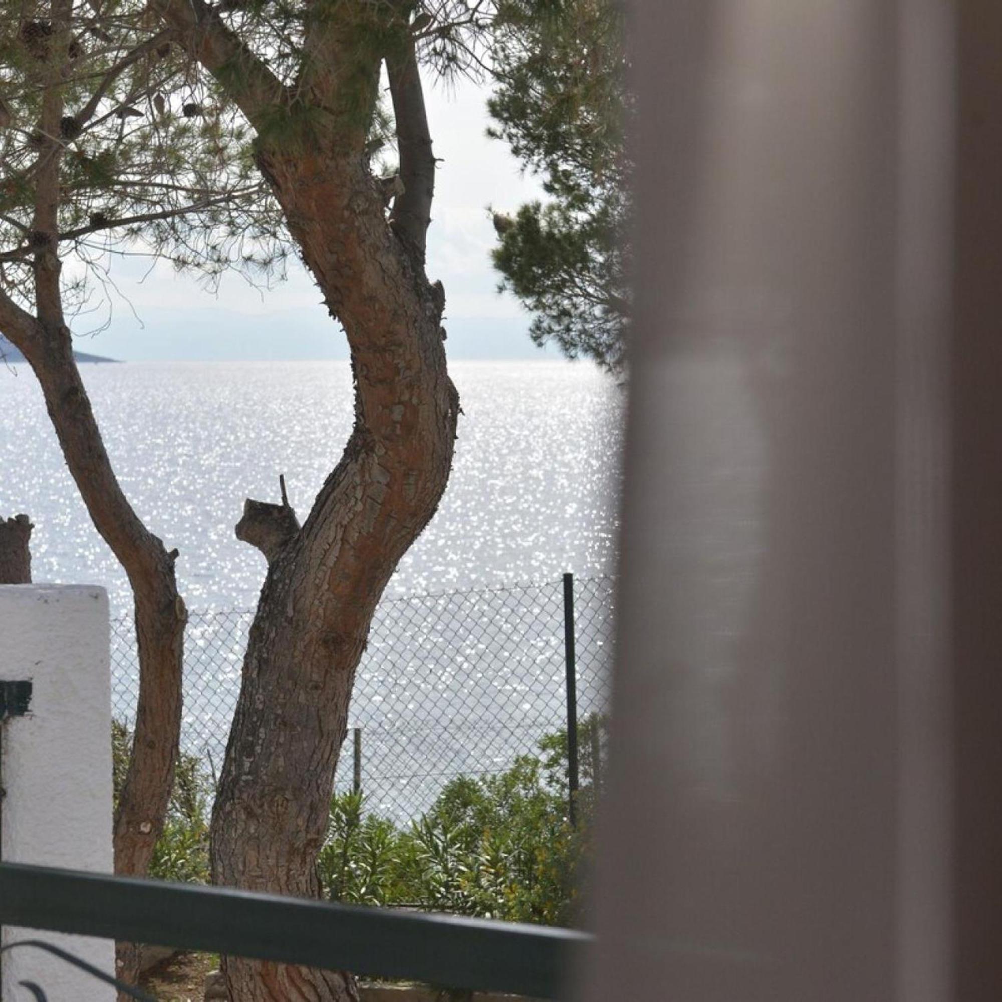 Salamis Beachfront House Εξωτερικό φωτογραφία