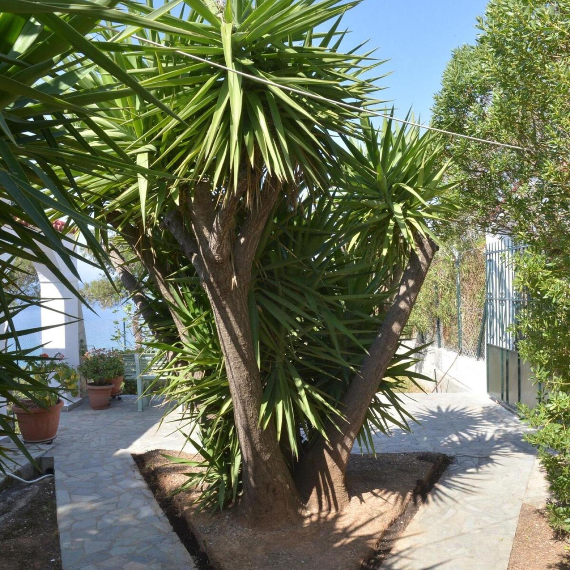 Salamis Beachfront House Εξωτερικό φωτογραφία